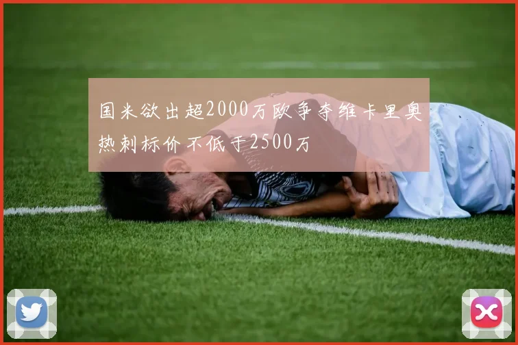 国米欲出超2000万欧争夺维卡里奥热刺标价不低于2500万