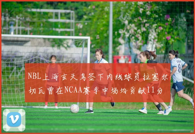 NBL上海玄天鸟签下内线球员拉塞尔切瓦曾在NCAA赛季中场均贡献11分8篮板